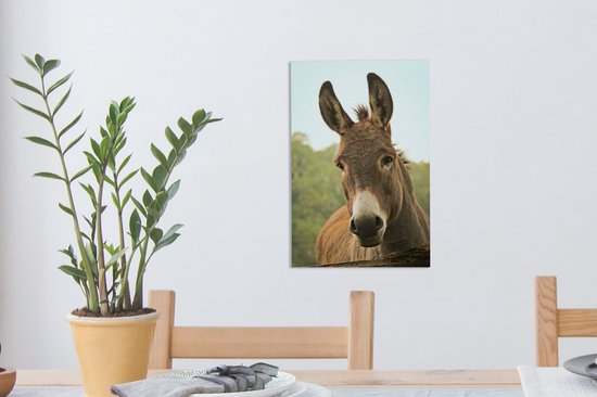 Peintures sur toile - Gros plan d'un âne marron - 20x30 cm - Décoration murale
