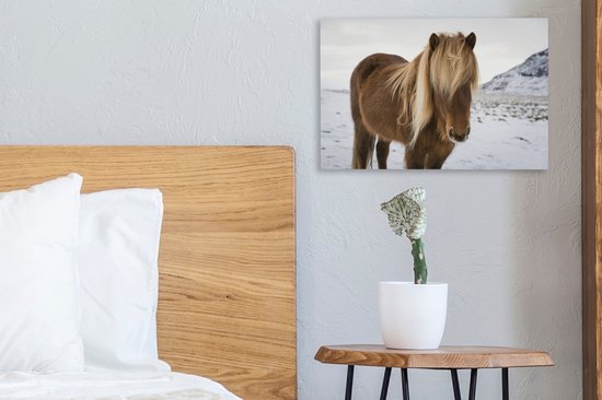 Portrait d'un cheval islandais curieux 30x20 cm - petit - Tirage photo sur toile (Décoration murale salon / chambre) / animaux sauvages Peintures sur toile