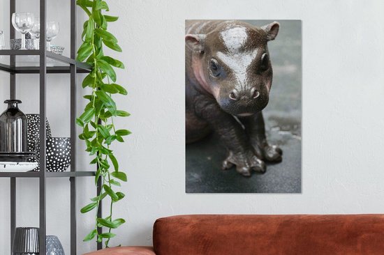 Bébé Hippo 60x90 cm - impression photo sur toile peinture (Décoration murale salon / chambre à coucher) / Les jeunes Animaux toile Peintures
