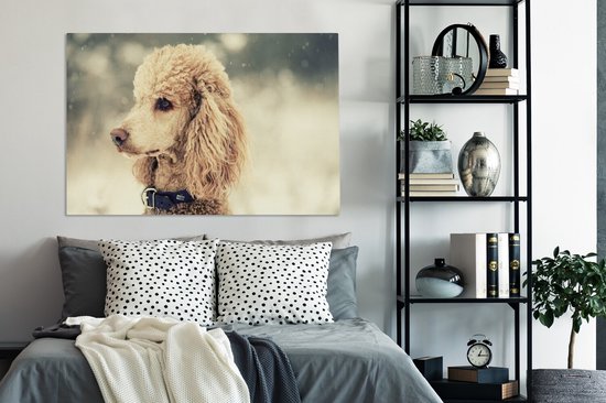 Caniche Witte dans la neige 140x90 cm - Tirage photo sur toile (Décoration murale salon / chambre) / Peintures sur toile pour Animaux domestiques