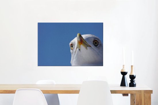 Gros plan de mouette 90x60 cm - Tirage photo sur toile (Décoration murale salon / chambre)