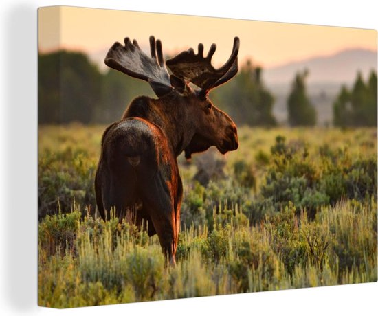 Canvas Schilderij Eland in Wyoming - 120x80 cm - Wanddecoratie