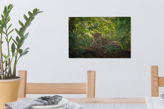 Een jaguar met gevlekte vacht rust in een dichtbegroeide jungle, omringd door groene bladeren en zonlicht.