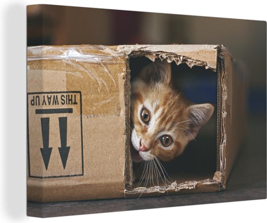 Chaton assis dans une boîte en carton 120x80 cm - Tirage photo sur toile  (Décoration