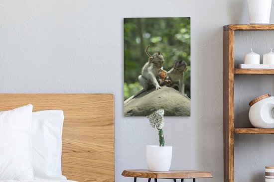 Singe avec toile de ramboutan 2cm 20x30 cm - petit - Tirage photo sur toile (Décoration murale salon / chambre)