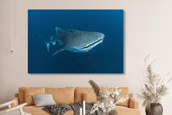 Tableau sur toile Un requin baleine à pois - 150x100 cm - Décoration murale