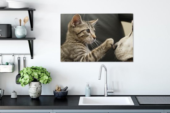 Chat jouant avec un chien 90x60 cm - Tirage photo sur toile (Décoration murale salon / chambre) / Peintures sur toile pour Animaux domestiques