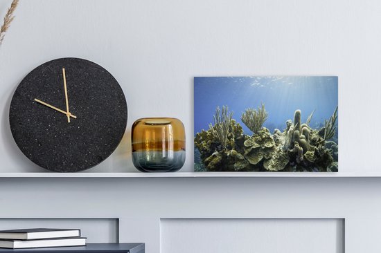 Un corail dur tropical dans une toile de mer bleu clair 30x20 cm - petit - Tirage photo sur toile (Décoration murale salon / chambre)