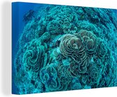 Canvas schilderij 180x120 cm - Wanddecoratie Sla-vormig koraal in het Maritiempark Wakatobi in Indonesië - Muurdecoratie woonkamer - Slaapkamer decoratie - Kamer accessoires - Schilderijen