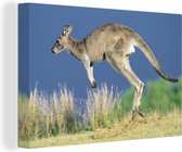 Canvas Schilderij Kangoeroe - Dier - Natuur - 30x20 cm - Wanddecoratie