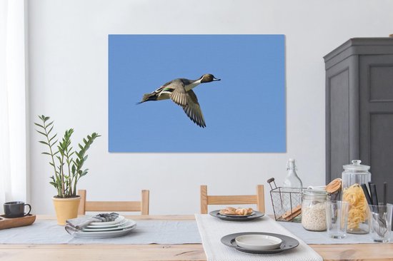 Canard pilet en vol sur toile 120x80 cm - Tirage photo sur toile (Décoration murale salon / chambre)