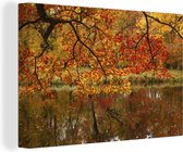 Canvas Schilderij Het Nationaal park Kejimkujik in Noord-Amerika in de herfst - 60x40 cm - Wanddecoratie
