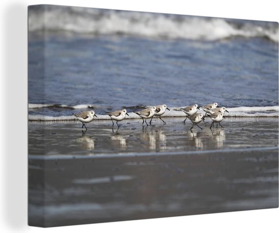 Groepje strandplevieren op het strand Canvas 30x20 cm - klein - Foto print op Canvas schilderij (Wanddecoratie woonkamer / slaapkamer)