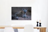Canvas Schilderij Hyena - Welp - Rots - 90x60 cm - Wanddecoratie