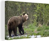 Canvas Schilderij Grizzlybeer - Planten - Bos - 90x60 cm - Wanddecoratie