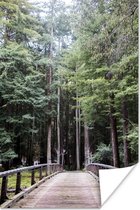 Gang door bomen in bos Big Sur in Verenigde Staten Poster 80x120 cm - Foto print op Poster (wanddecoratie woonkamer / slaapkamer) / Amerika Poster