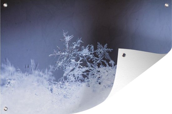 Tuindecoratie Close-up bevroren sneeuwvlok - 60x40 cm - Tuinposter - Tuindoek - Buitenposter