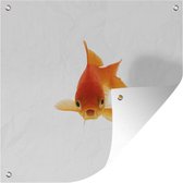 Tuindoek Goudvis - Zeedieren - Oranje - 100x100 cm