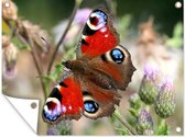 Tuinposter - Tuindoek - Tuinposters buiten - Dagpauwoog vlinder - 120x90 cm - Tuin