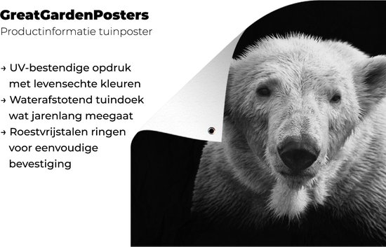 Décoration murale Ours polaire - Animal - Zwart - Wit - 180x120 cm - Poster jardin - Toile jardin