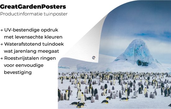 Tuinposter 90x60 cm - Tuindecoratie Pinguïns op Antarctica - Poster voor in de tuin - Buiten decoratie - Schutting tuinschilderij - Tuindoek muurdecoratie - Wanddecoratie balkondoek