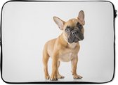 Housse ordinateur 13 pouces 34x24 cm - Bouledogue français - Housse Macbook & Laptop Portrait of a French bulldog - Housse ordinateur portable avec photo