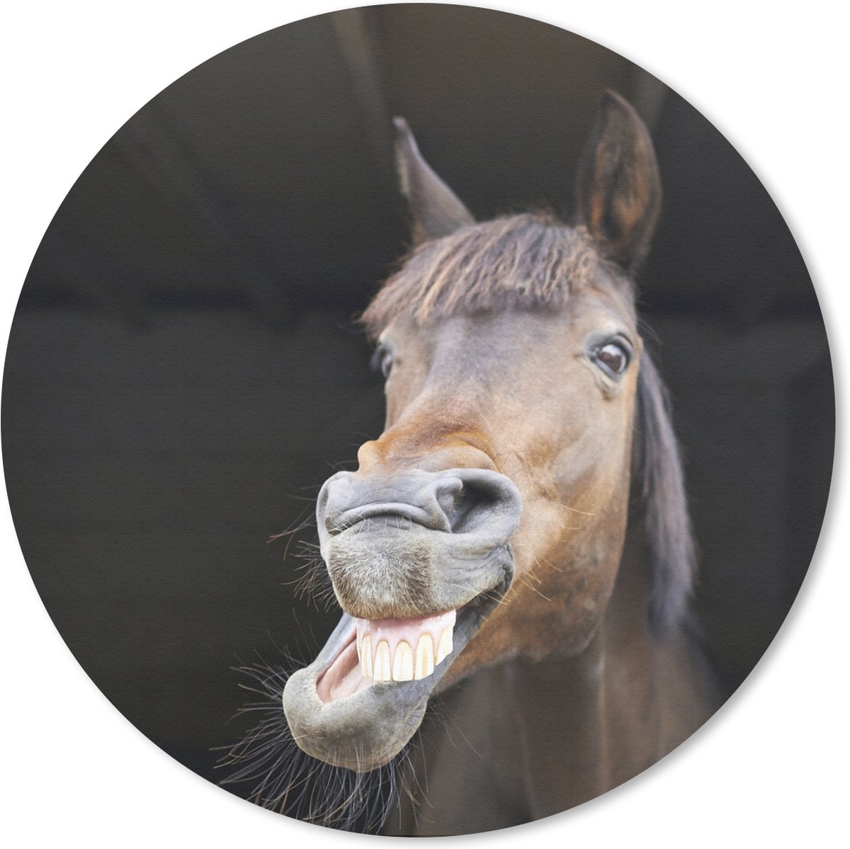 Muismat Grappige dieren - Paard met grappig gezicht Muismat rond - 20x20 cm - Muismat met foto