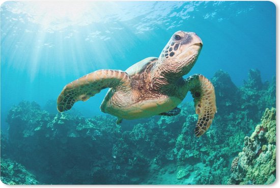 Muismat Schildpad - Zwemmende schildpad fotoafdruk muismat rubber - 27x18 cm - Muismat met foto
