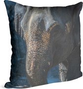 Aziatische olifant - Foto op Sierkussen - 60 x 60 cm