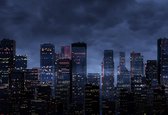 Skyline by night 120 x 40  - Dibond + epoxy