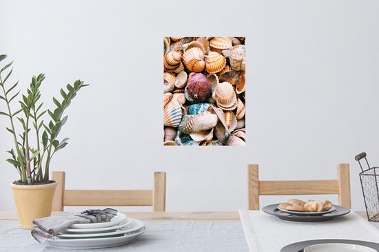 Sticker Muursticker Coquillages - Coquillages de Grèce - 30x40 cm - Film adhésif autocollant - Sticker mural repositionnable