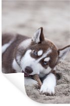 Muurstickers - Sticker Folie - Husky puppy op het strand - 20x30 cm - Plakfolie - Muurstickers Kinderkamer - Zelfklevend Behang - Zelfklevend behangpapier - Stickerfolie