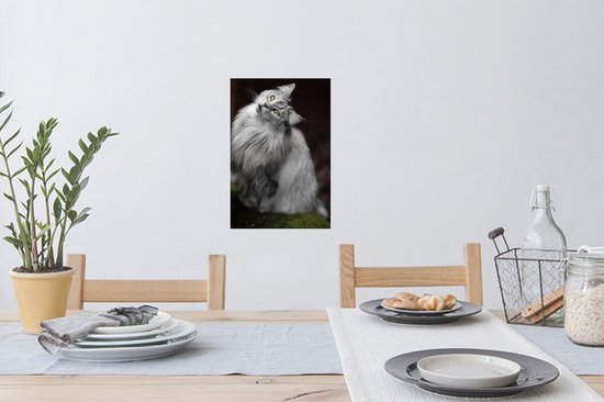 Muurstickers - Sticker Folie - Wit met grijze Maine Coon kat - 20x30 cm - Plakfolie - Muurstickers Kinderkamer - Zelfklevend Behang - Zelfklevend behangpapier - Stickerfolie
