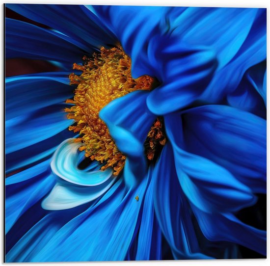 Dibond - Helderblauwe Bloem met Gele Stamper - 50x50cm Foto op Aluminium (Met Ophangsysteem)