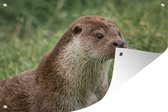 Muurdecoratie Otter in het gras - 180x120 cm - Tuinposter - Tuindoek - Buitenposter
