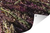 Muurdecoratie Vers geoogste quinoa planten op de grond - 180x120 cm - Tuinposter - Tuindoek - Buitenposter