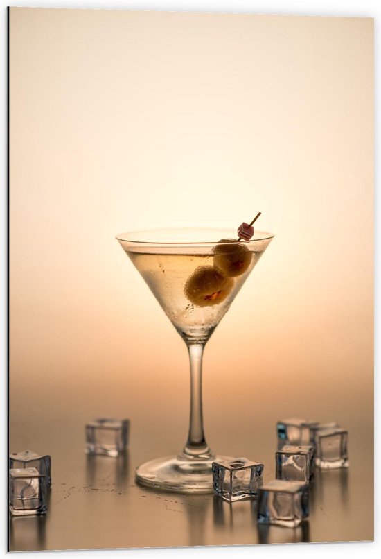 Dibond - Cocktail Drankje - 60x90cm Foto op Aluminium (Met Ophangsysteem)