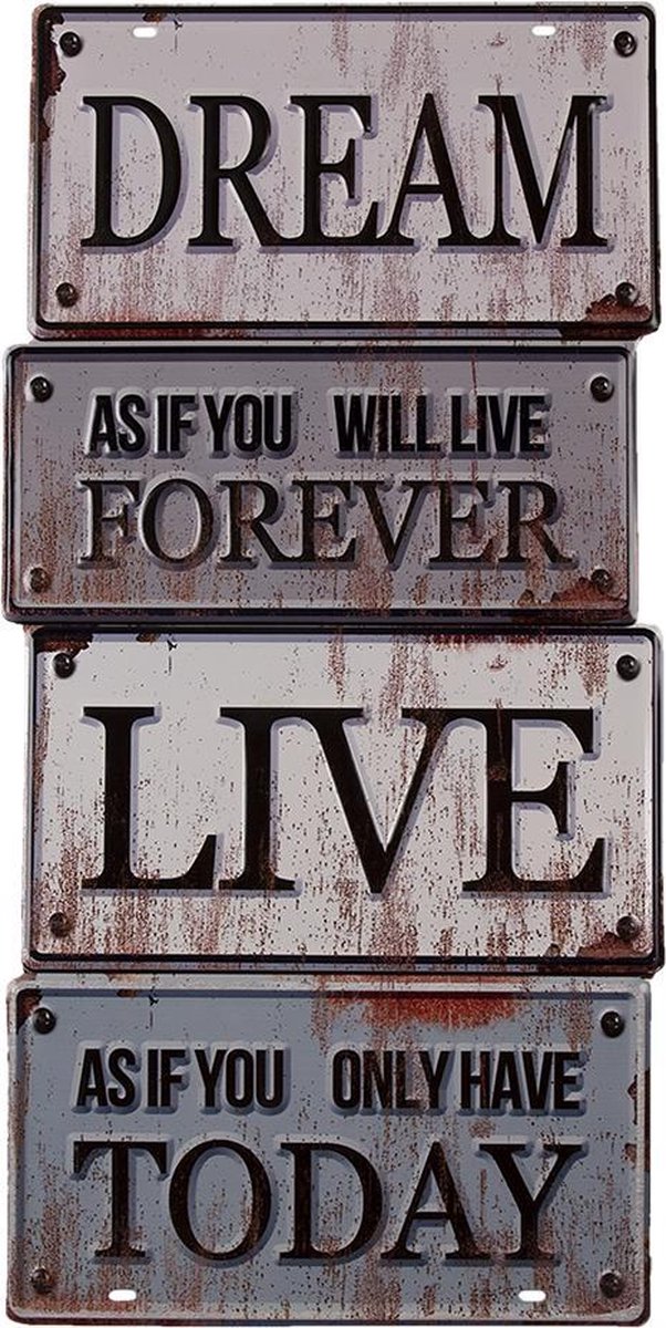 Tekstbord 30x60 cm Wit Grijs Ijzer Dream Wandbord