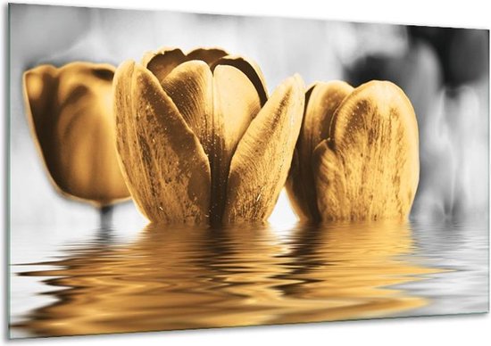 Glasschilderij Tulpen | Zwart, Goud, Grijs | | Foto print op Glas |  F002930