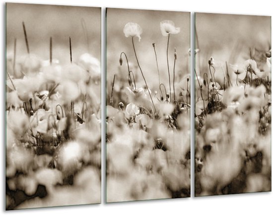 Glasschilderij Bloemen - Sepia - 120x80cm 3Luik - Foto Op Glas - Geen Acrylglas Schilderij - GroepArt 6000+ Glas Art Collectie - Maatwerk Mogelijk