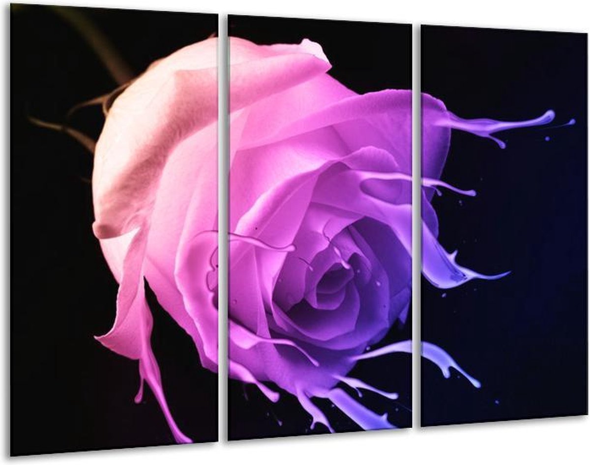 GroepArt - Schilderij - Roos - Paars, Roze, Zwart - 120x80cm 3Luik - 6000+ Schilderijen 0p