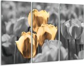 GroepArt - Schilderij -  Tulpen - Goud, Wit, Grijs - 120x80cm 3Luik - 6000+ Schilderijen 0p Canvas Art Collectie