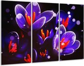 GroepArt - Schilderij -  Krokus - Oranje, Blauw, - 120x80cm 3Luik - 6000+ Schilderijen 0p Canvas Art Collectie