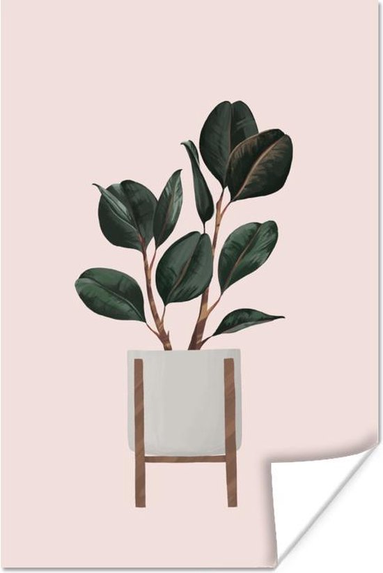 Illustratie van een plant met donkere ovalen bladeren op een roze achtergrond