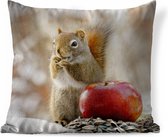 Sierkussens - Kussen - Een eekhoorn die in de winter van zijn eten voorraad geniet - 45x45 cm - Kussen van katoen