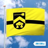 Vlag Borger-Odoorn 200x300cm