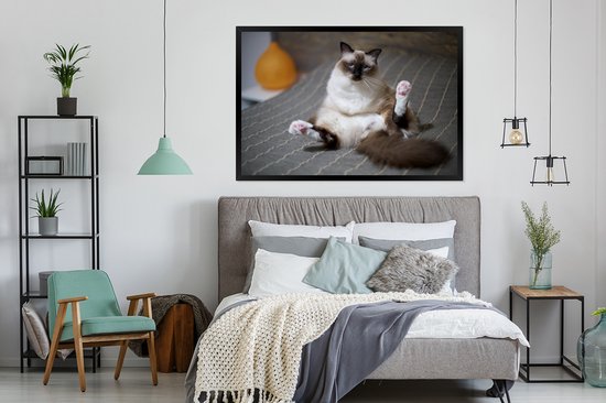 Cadre photo chat dans un lit noir sans support