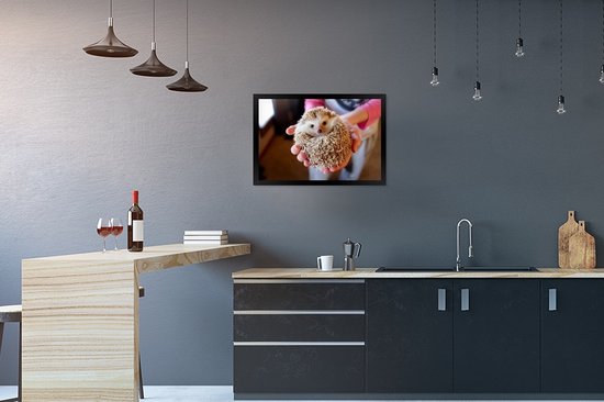 Photo encadrée - Hérisson est tenu cadre photo noir sans passe partout 60x40 cm - Affiche encadrée (Décoration murale salon / chambre)