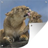 Affiche de Jardin Lion - Bébé - Animaux sauvages - 200x200 cm - Toile jardin