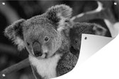 Tuinposter - Tuindoek - Tuinposters buiten - Koala's - Vader - Zoon - Kids - Jongens - Meiden - 120x80 cm - Tuin